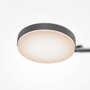 Светильник на штанге Maytoni Fad MOD070CL-L15B3K1 в Заводоуковске - zavodoukovsk.ok-mebel.com | фото 7