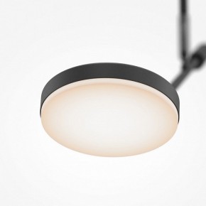 Светильник на штанге Maytoni Fad MOD070CL-L8B3K в Заводоуковске - zavodoukovsk.ok-mebel.com | фото 4