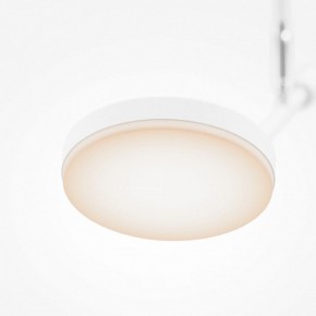 Светильник на штанге Maytoni Fad MOD070CL-L8W3K в Заводоуковске - zavodoukovsk.ok-mebel.com | фото 4