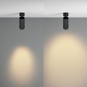 Светильник на штанге Maytoni Focus Zoom C055CL-L12W2.7K-Z-B в Заводоуковске - zavodoukovsk.ok-mebel.com | фото 3