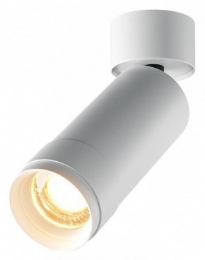 Светильник на штанге Maytoni Focus Zoom C055CL-L12W2.7K-Z-W в Заводоуковске - zavodoukovsk.ok-mebel.com | фото