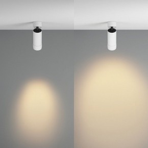 Светильник на штанге Maytoni Focus Zoom C055CL-L12W2.7K-Z-W в Заводоуковске - zavodoukovsk.ok-mebel.com | фото 3