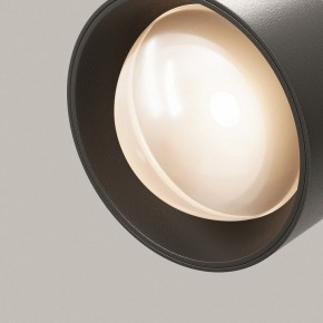 Светильник на штанге Maytoni Lens TR217-2-15W3K-B в Заводоуковске - zavodoukovsk.ok-mebel.com | фото 12