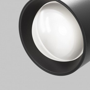 Светильник на штанге Maytoni Lens TR217-4-15WTW-DD-B в Заводоуковске - zavodoukovsk.ok-mebel.com | фото 12