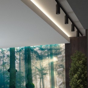 Светильник на штанге Novotech Dep 358593 в Заводоуковске - zavodoukovsk.ok-mebel.com | фото 4