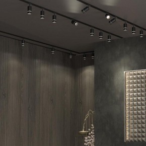 Светильник на штанге Novotech Elina 370777 в Заводоуковске - zavodoukovsk.ok-mebel.com | фото 4