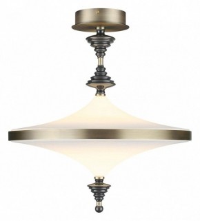 Светильник на штанге Odeon Light Ula 5404/43CL в Заводоуковске - zavodoukovsk.ok-mebel.com | фото 2