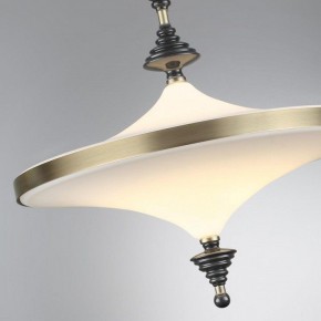 Светильник на штанге Odeon Light Ula 5404/43CL в Заводоуковске - zavodoukovsk.ok-mebel.com | фото 6