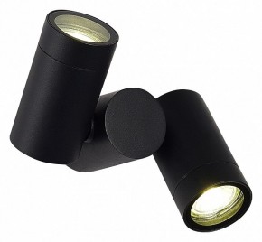 Светильник на штанге ST-Luce Ecollo SL9011.402.02 в Заводоуковске - zavodoukovsk.ok-mebel.com | фото 2