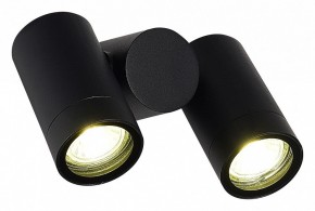 Светильник на штанге ST-Luce Ecollo SL9011.402.02 в Заводоуковске - zavodoukovsk.ok-mebel.com | фото 3