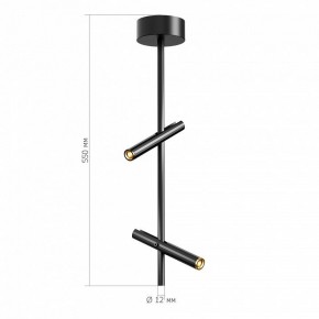 Светильник на штанге ST-Luce LILT SL6210.403.02 в Заводоуковске - zavodoukovsk.ok-mebel.com | фото 3