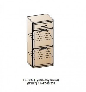 ТБ-1003 (Тумба-обувница) в Заводоуковске - zavodoukovsk.ok-mebel.com | фото