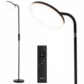 Торшер Citilux SOLO CL804061 в Заводоуковске - zavodoukovsk.ok-mebel.com | фото 2