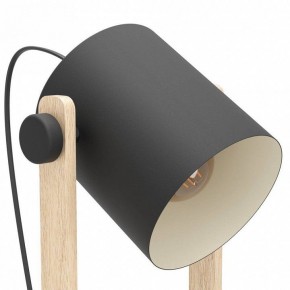 Торшер Eglo HORNWOOD 43521 в Заводоуковске - zavodoukovsk.ok-mebel.com | фото 4