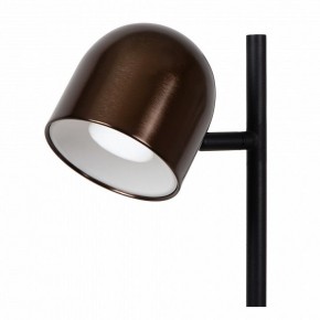 Торшер Lucide Skanska Rech 03749/03/96 в Заводоуковске - zavodoukovsk.ok-mebel.com | фото 3