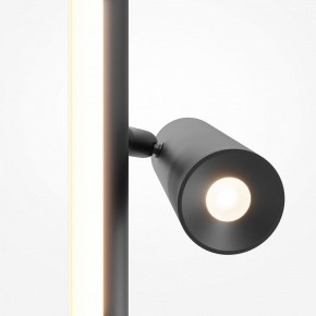 Торшер Maytoni Thin MOD395FL-L28B3K в Заводоуковске - zavodoukovsk.ok-mebel.com | фото 6