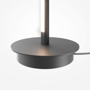 Торшер Maytoni Thin MOD395FL-L28B3K в Заводоуковске - zavodoukovsk.ok-mebel.com | фото 8