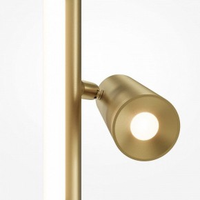 Торшер Maytoni Thin MOD395FL-L28BS3K в Заводоуковске - zavodoukovsk.ok-mebel.com | фото 5