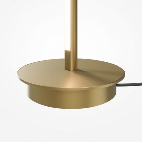 Торшер Maytoni Thin MOD395FL-L28BS3K в Заводоуковске - zavodoukovsk.ok-mebel.com | фото 7