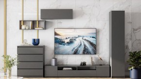 Тумба под ТВ Сибити в Заводоуковске - zavodoukovsk.ok-mebel.com | фото 3
