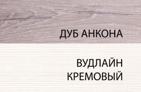 Тумба RTV 1V2D1S, OLIVIA, цвет вудлайн крем/дуб анкона в Заводоуковске - zavodoukovsk.ok-mebel.com | фото 5